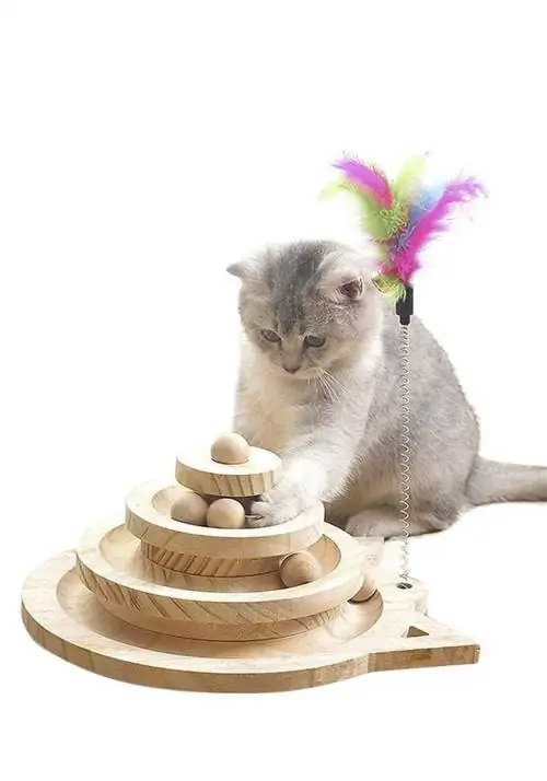 Тренажерный стол Amazon Cat Тренажерный стол Amazon Cat