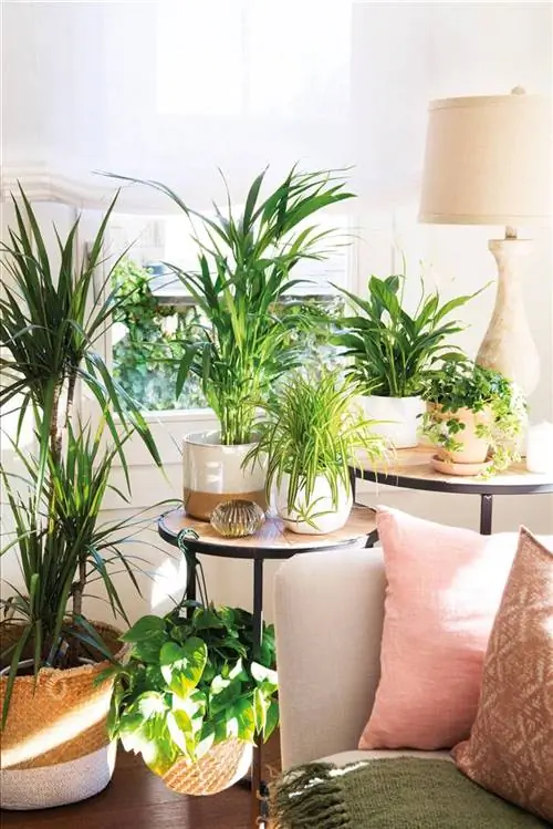 зеленый 481964