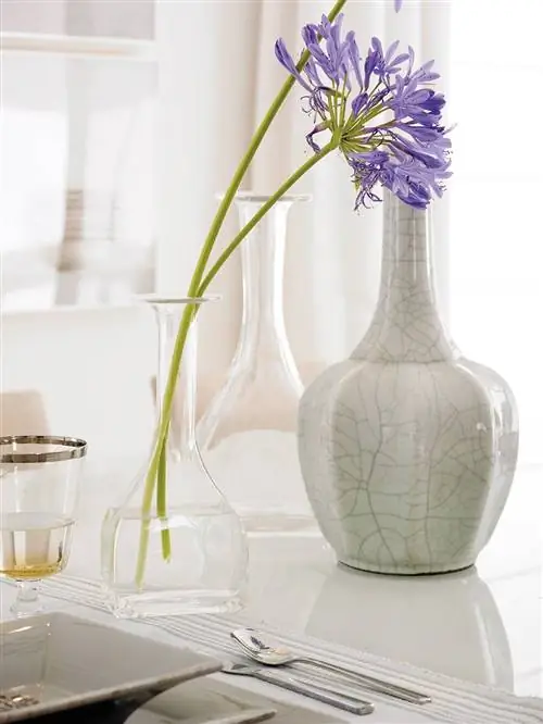 Названия растений Азалия Агапантус