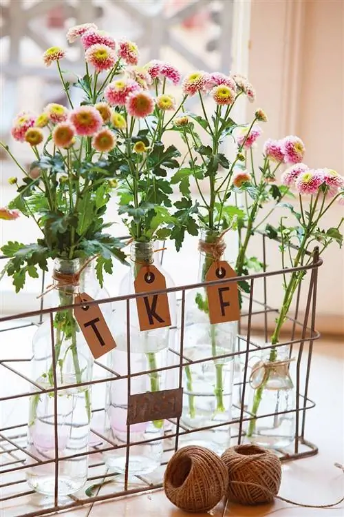 Букеты хризантем в стеклянных бутылках.