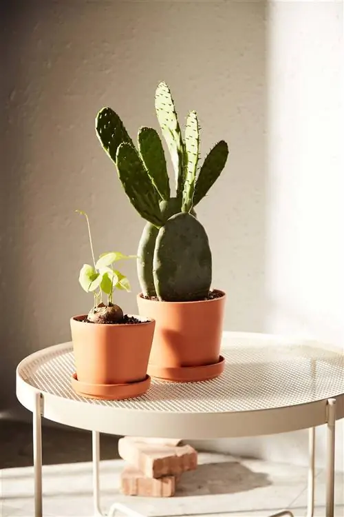 ikea-новости-январь-2022-PH183360-lowres ikea-новости-январь-2022-PH183360-lowres