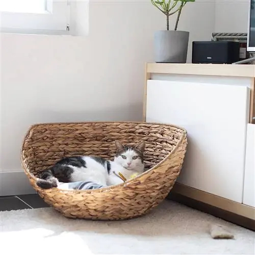 Круглая лежанка для кошек из волокон Амазонки. Круглая лежанка для кошек из волокон Амазонки.