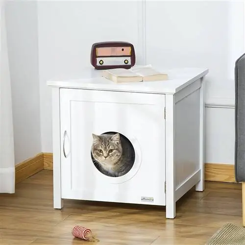 Белая кошачья мебель от Amazon. Белая кошачья мебель от Amazon.