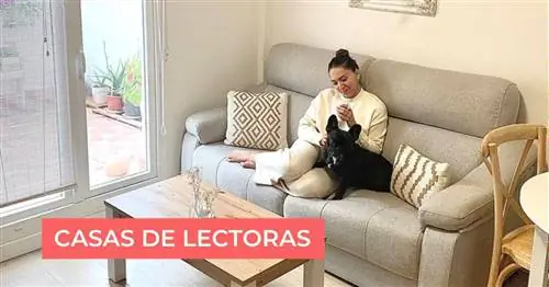 Casas de lectoras: ремонт дома площадью 45 м2 с террасой и полными идей по использованию пространства в Фатиме в Сарагосе