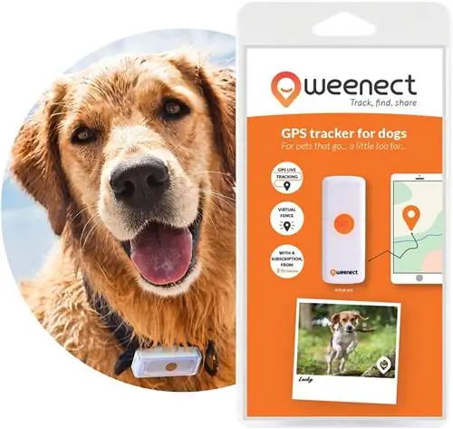 Ошейник для собак с GPS от Amazon. Ошейник для собак с GPS от Amazon.