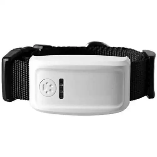 Ошейник для собак с GPS от Amazon. Ошейник для собак с GPS от Amazon.