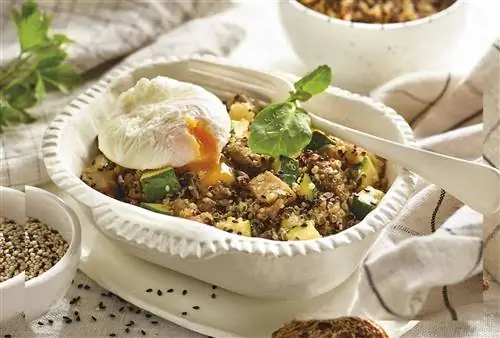 Чаша киноа, овощей и черного кунжута с кубиками сейтана и яйцом-пашот. Чаша киноа, овощей и черного кунжута с кубиками сейтана и яйцом-пашот.