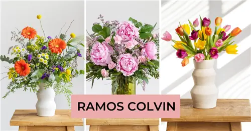 May Colvin Blossoms: Наполните свой дом яркими красками