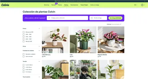 Где купить растения онлайн: Colvin. Где купить растения онлайн: Colvin.