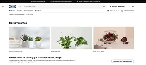Где купить растения онлайн: Ikea. Где купить растения онлайн: Ikea.