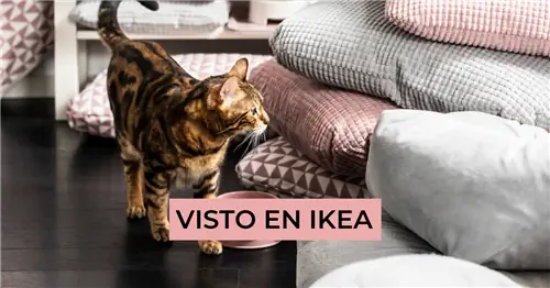 Товары ИКЕА для домашних животных. Они сойдут с ума от счастья