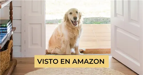 Самые любопытные товары для собак, увиденные на Amazon: у вас будут галлюцинации! (и они тоже)