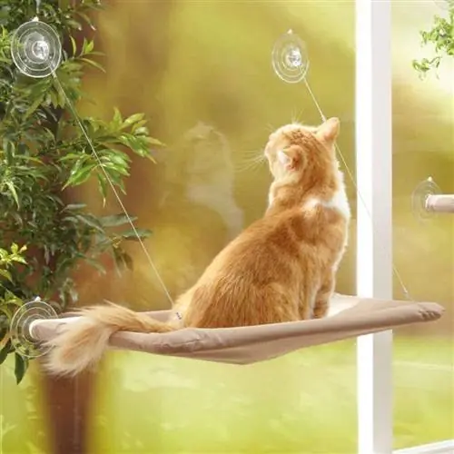 Амазонский кошачий гамак