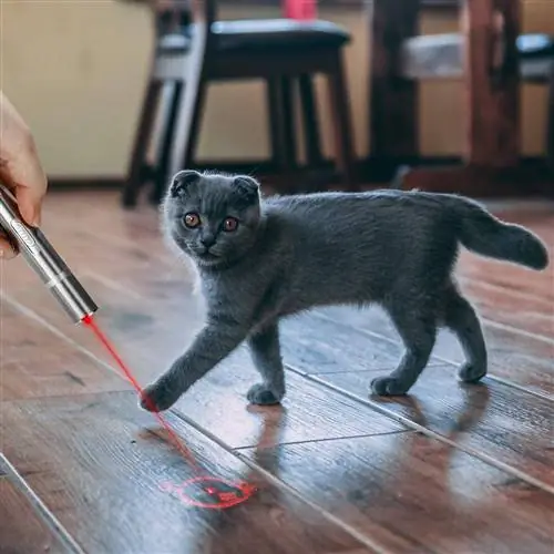 Светодиодная указка Amazon Cat