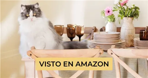 У вас есть кошка? Это самые любопытные продукты, которые вы можете найти на Amazon