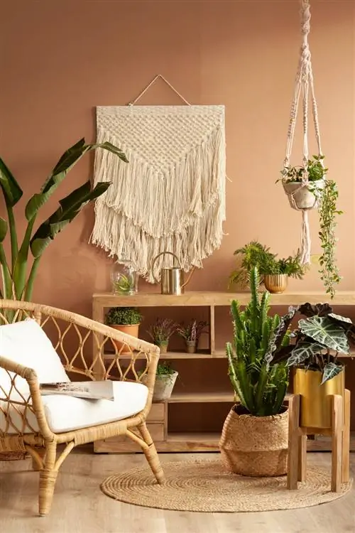 подвесные растения-интерьер-00506943 O