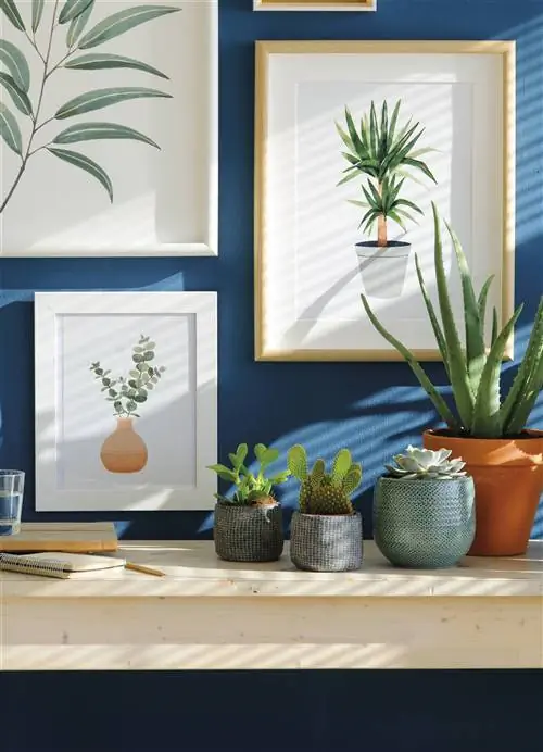 ядовитые растения для кошек и собак алоэ вера