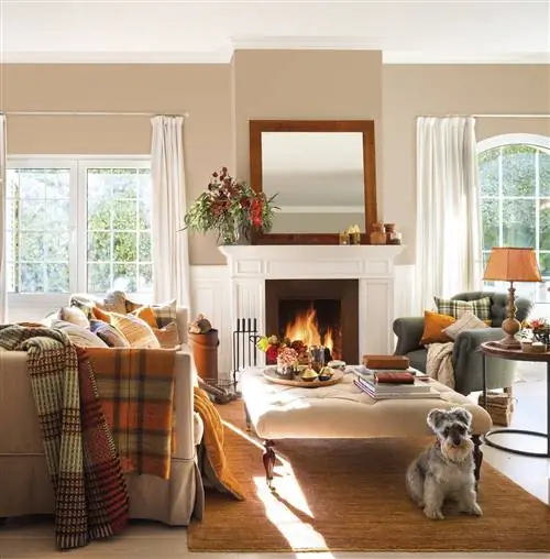 гостиная с камином собака 00446875