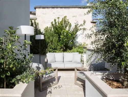 Pia Capdevila Проект Париж 348 терраса