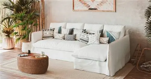 Бренд органических и веганских диванов, о котором все говорят