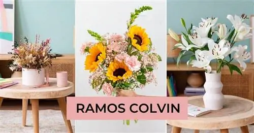 Colvin Flowers of July - Этим летом наполни свой дом свежим воздухом