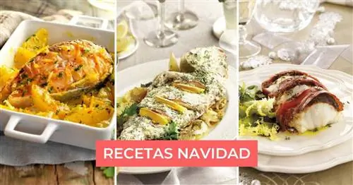 7 рецептов запеченной рыбы, которыми вы удивите своих гостей в это Рождество (а готовятся они очень быстро!)