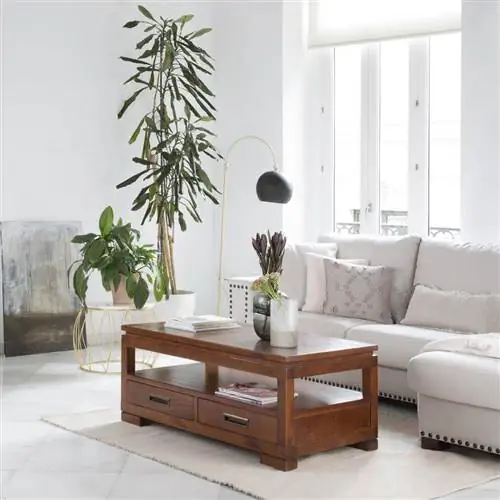 Деревянный журнальный столик Banak Importa модель Kenia.