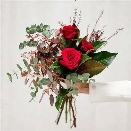 Черная пятница Колвина 2022.