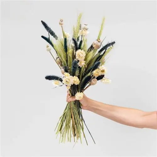 Небольшой декоративный букет из сухоцветов.