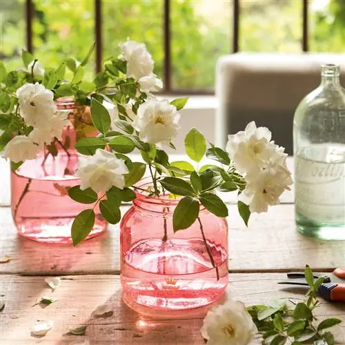 Деталь двух ваз из розового стекла_ 00409379b