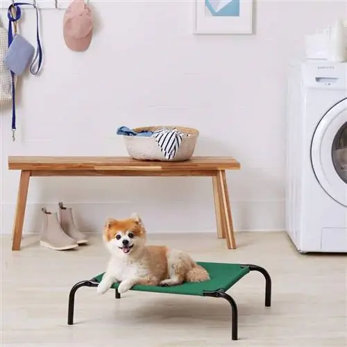 Замена покрывала на лежанку для питомца