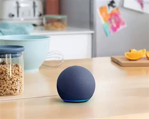 Черная пятница: новая лампа Echo Dot + белая лампа Philips Hue доступна на Amazon.