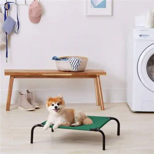 Черная пятница: замена чехла на лежанку.