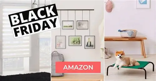 Черная пятница Amazon: это супер-сделки, которые мы нашли. Некоторые со скидкой более 70%