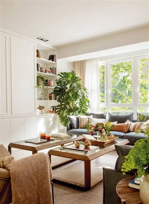 Гостиная с изготовленным на заказ книжным шкафом и большим растением в углу.