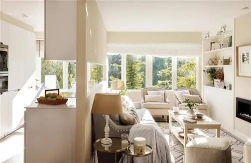 Гостиная отделена от кухни полуоткрытой перегородкой.