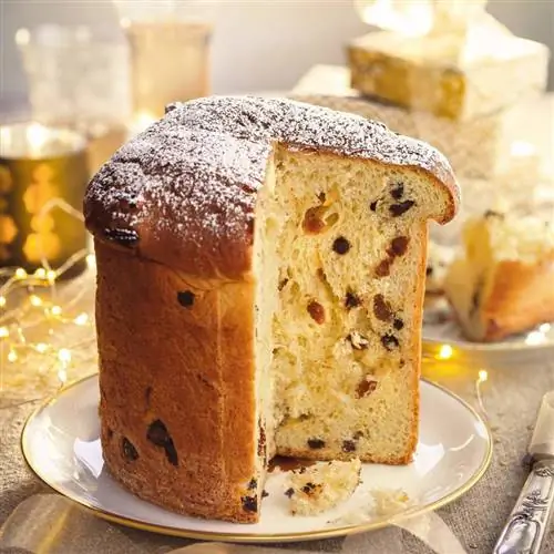 00469672 ALT 00002547 панеттоне с фруктами и шоколадом