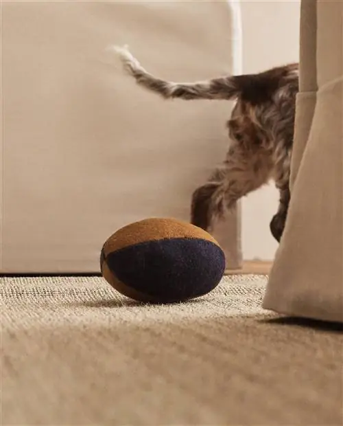 Коллекция домашних животных Zara Home.