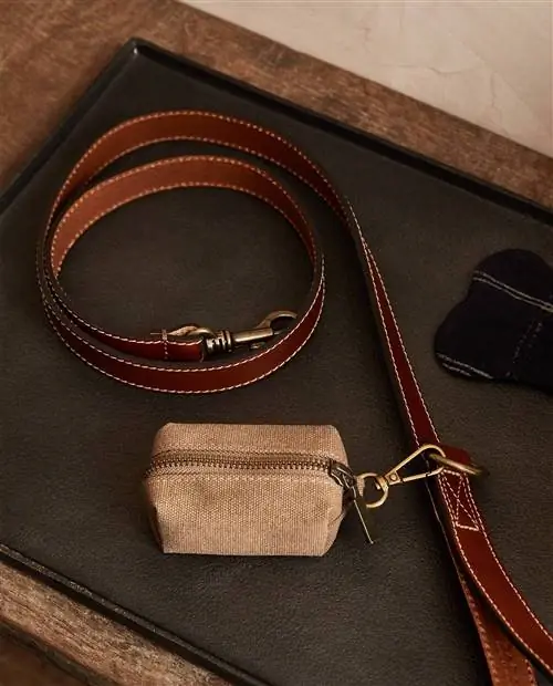 Коллекция домашних животных Zara Home.