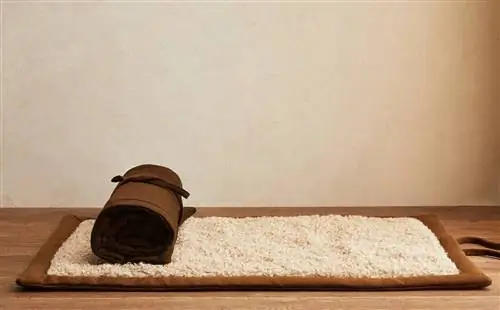 Коллекция домашних животных Zara Home.