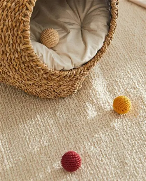 Коллекция домашних животных Zara Home