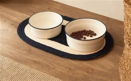 Коллекция домашних животных Zara Home