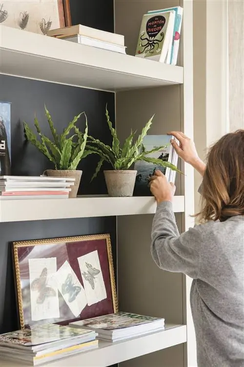 Деталь бежевого книжного шкафа с черным фоном.