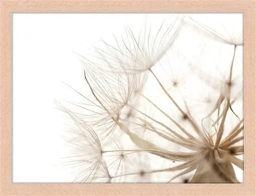 Westwing Now Картина одуванчика