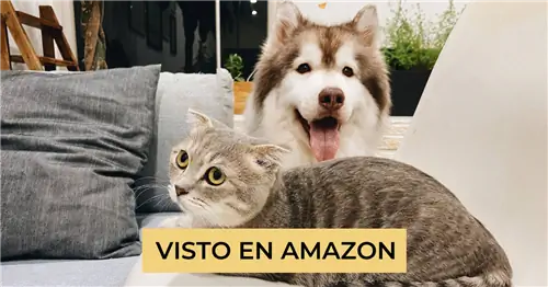 Вы работаете вне дома? Получите эти продукты Amazon для домашних животных