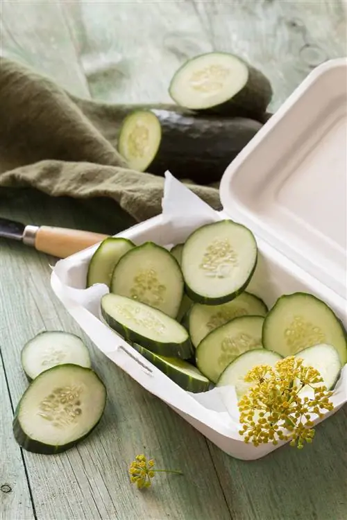Огурец для уборки дома