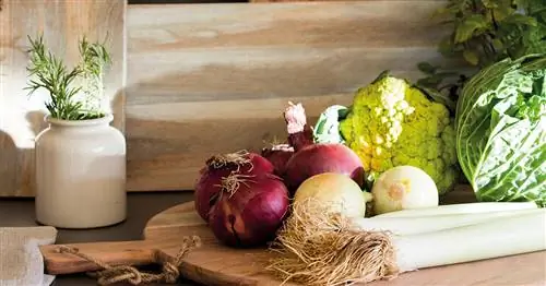 Продукты, с помощью которых вы можете очистить свой дом и сделать его сверкающим