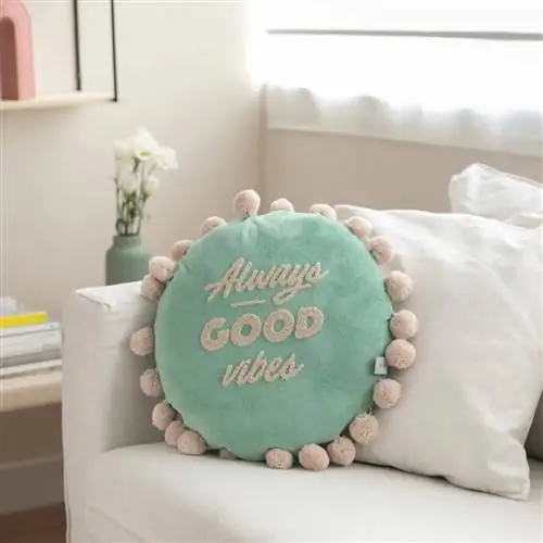 Зеленая круглая подушка от Mr. Wonderful.