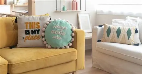 Подарки для вашего дома от Mr. Wonderful, которые понравятся вашему суперпозитивному другу и которые вы можете найти на Amazon