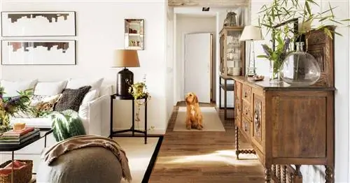 Когда открываешь дверь дома и видишь гостиную: хитрости, как украсить маленькую и открытую прихожую